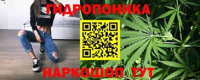прущие крисы Краснодар