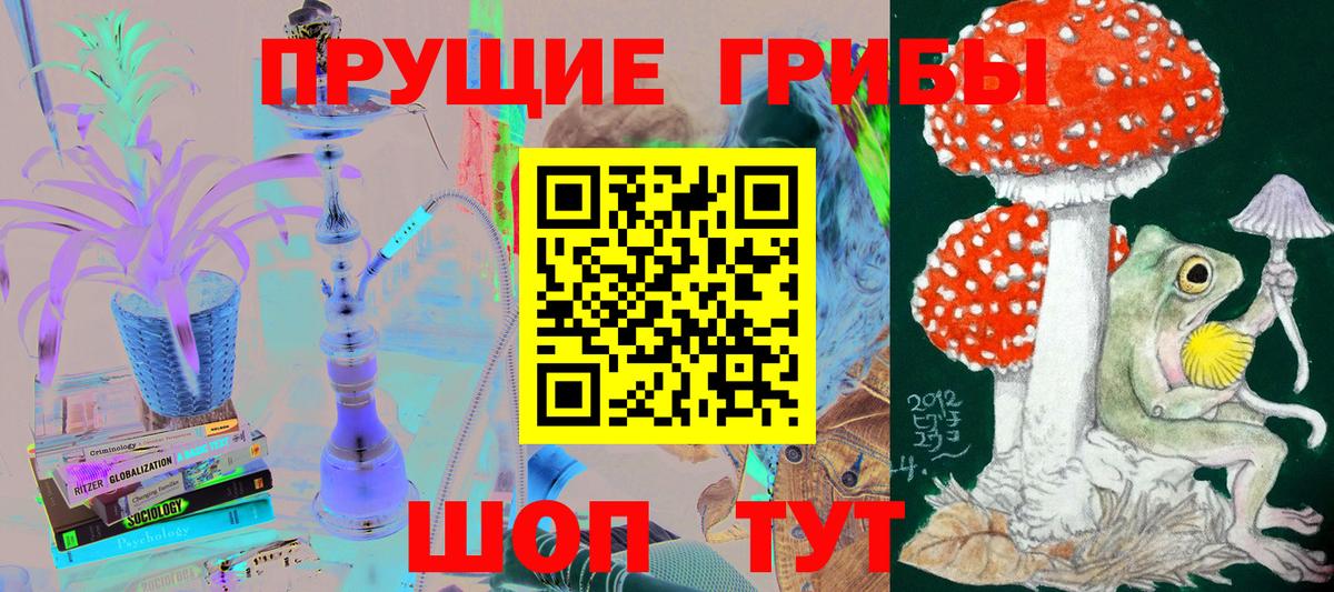 купить наркотик  Псилоцибиновые грибы прущие грибы  Псилоцибиновые грибы GOLDEN TEACHER  Вход с VPN  Жигулёвск 