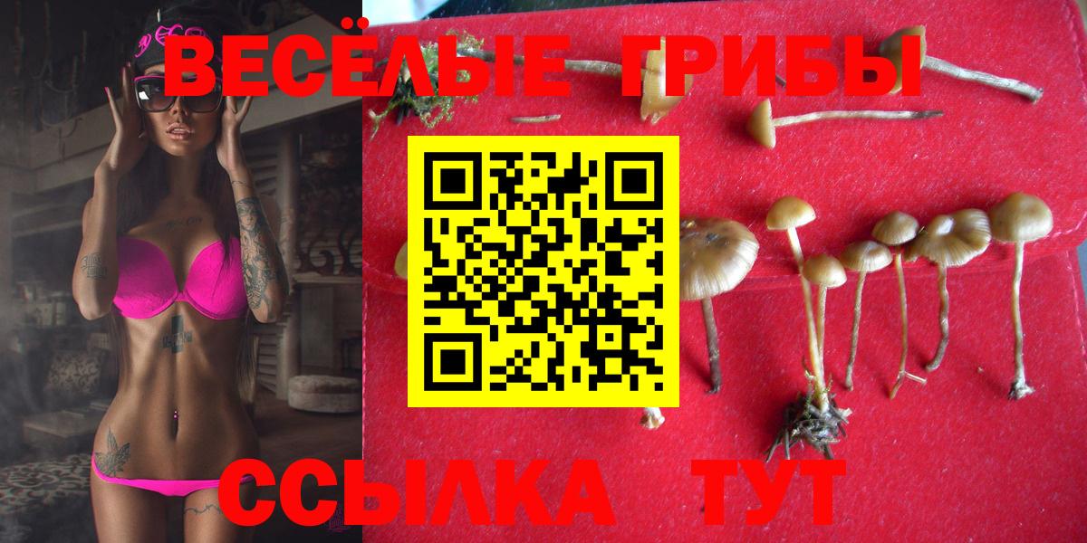 Галлюциногенные грибы Magic Shrooms Жигулёвск